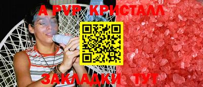 гашик Кимры
