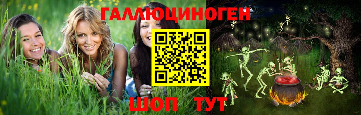 Королёв  Псилоцибиновые грибы Magic Shrooms  Вход с VPN 